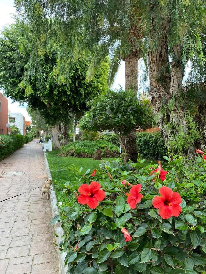 San BartoloméCasa Armonia Del Sol别墅 外观 照片